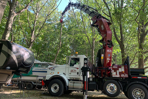 robotic-tree-removal-citrus-county-modern-scapes-fl-img1